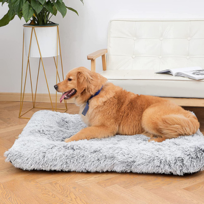 coussin-chien-resistant