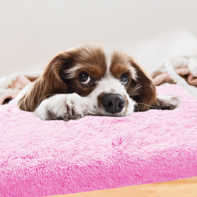 coussin-chien-rose