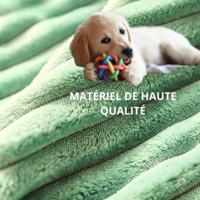 coussin-chien-xxl-qualité