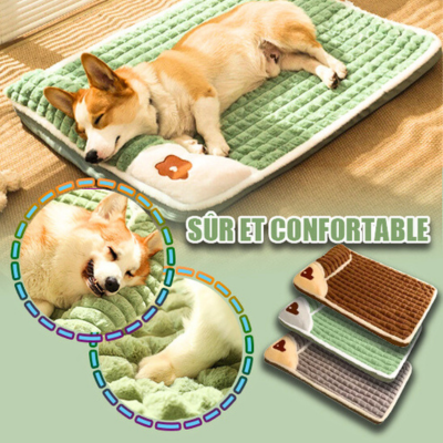 coussin-pour-chien-resistant