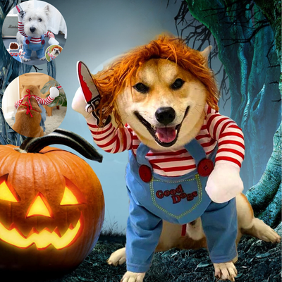 deguisement-chien-halloween-doux