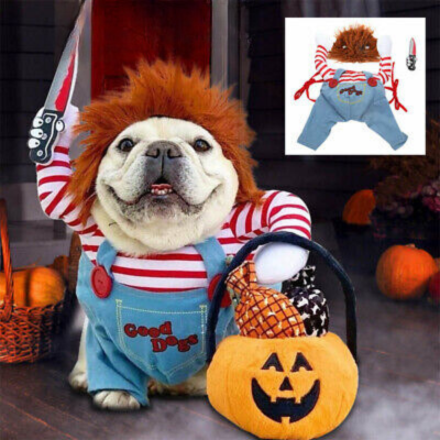 deguisement-chien-halloween-lavable