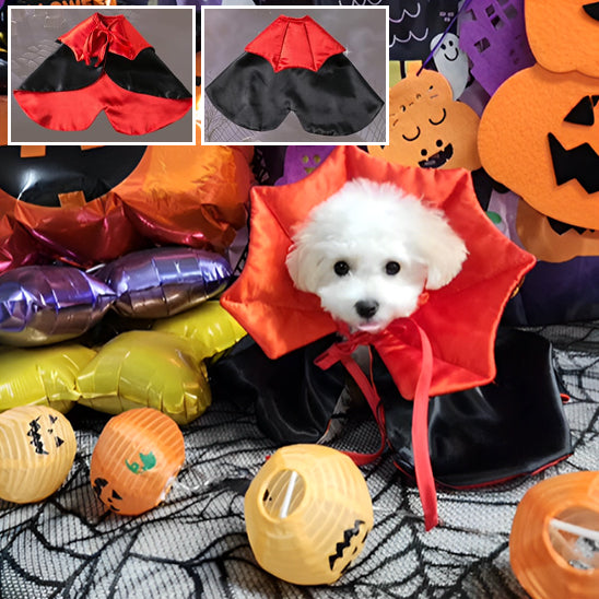 deguisement-halloween-chien-spectacle