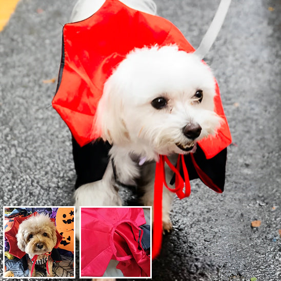 deguisement-halloween-chien-terrifiant