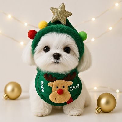deguisement-pour-chien-beau
