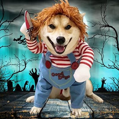 deguisement-pour-chien-celebration