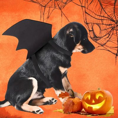 deguisement-pour-chien-chiot