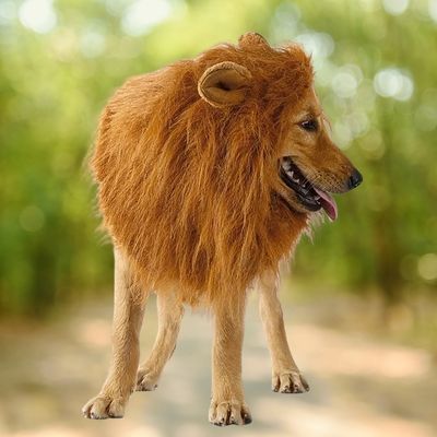 deguisement-pour-chien-criniere
