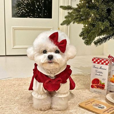 deguisement-pour-chien-elegant