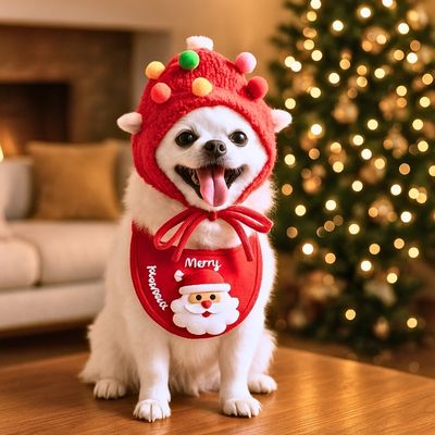 deguisement-pour-chien-fete