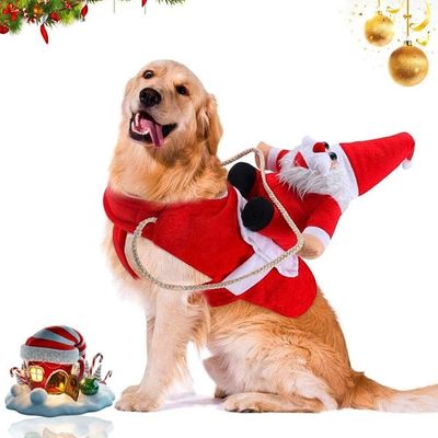 deguisement-pour-chien-golden1