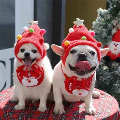 deguisement-pour-chien-jumeaux