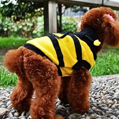 deguisement-pour-chien-mouvement