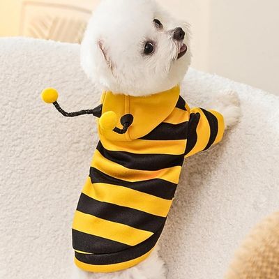 deguisement-pour-chien-petit