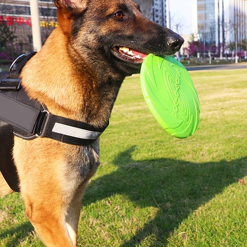 frisbee-chien-vert