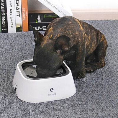 gamelle-anti-debordement-chien-boire