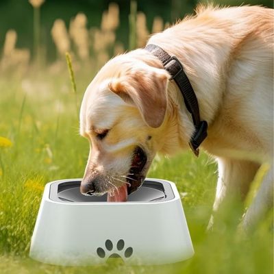 gamelle-anti-debordement-chien-champs