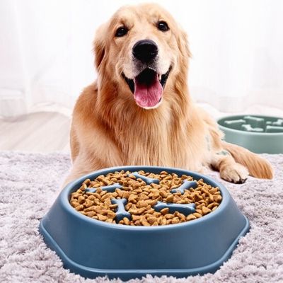 gamelle-anti-glouton-chien-digestion