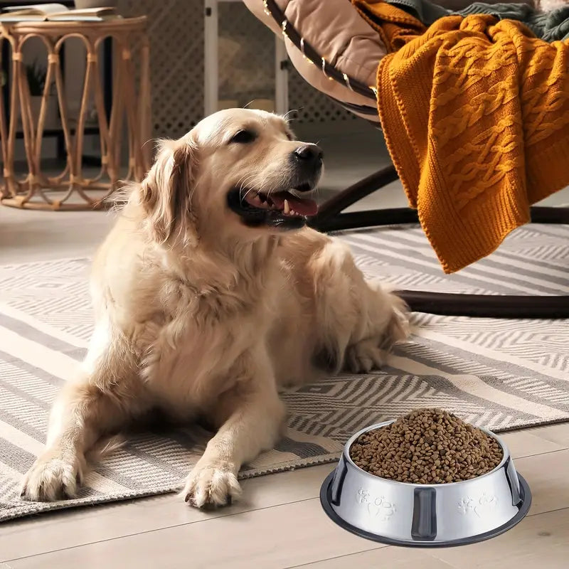 gamelle-inox-chien-bien-etre