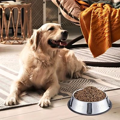 gamelle-inox-chien-pratique