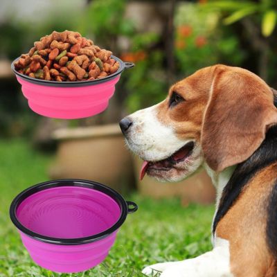 gamelle-pour-chien-nourriture