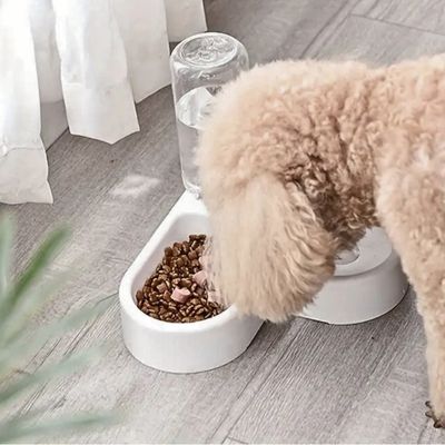 gamelle-pour-chien-rideau