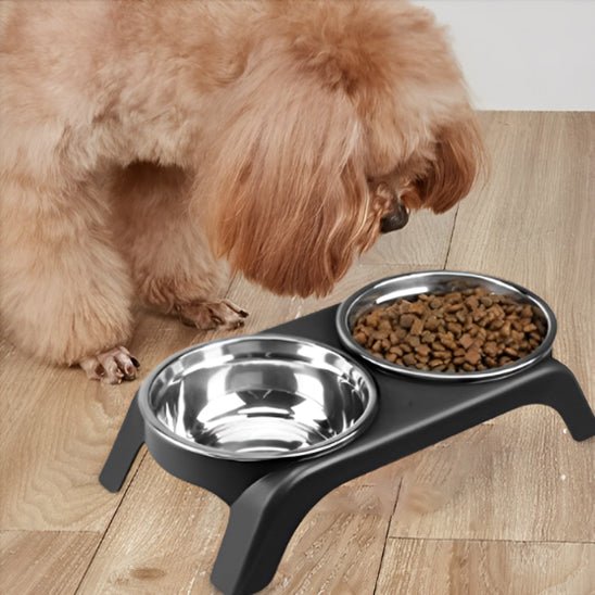 GAMELLES SURELEVEES POUR CHIEN | Essentielle™ - Wouf chien