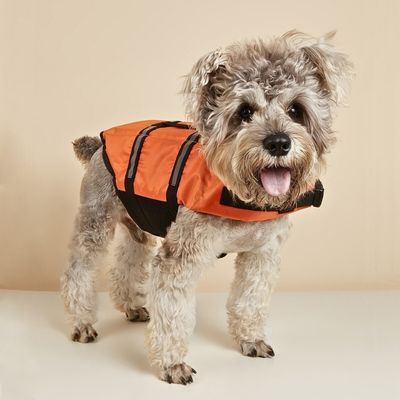 gilet-de-sauvetage-chien-confort