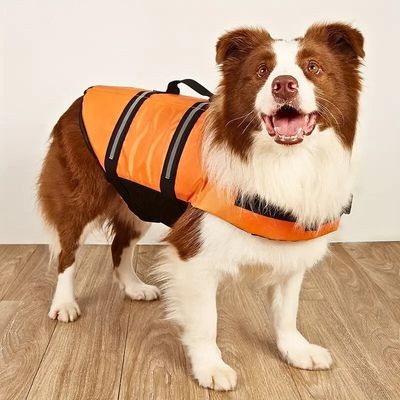gilet-de-sauvetage-chien-leger