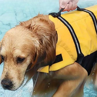 gilet-de-sauvetage-chien-poigne