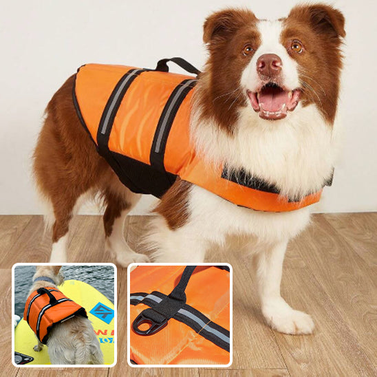 gilet-de-sauvetage-chien-securite