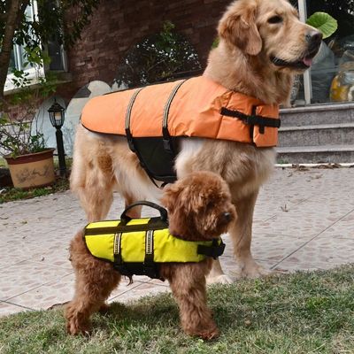 gilet-de-sauvetage-chien