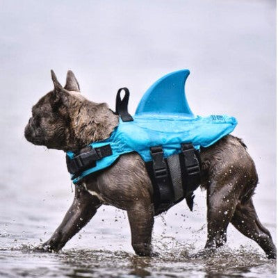gilet-de-sauvetage-pour-chien-bleu