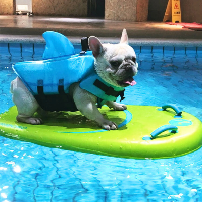 gilet-de-sauvetage-pour-chien-visible