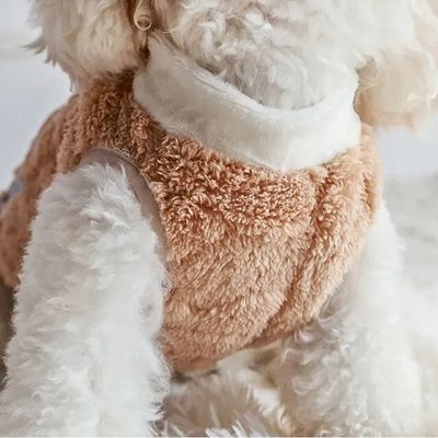gilet-pour-chien-chameau