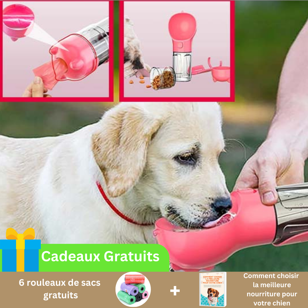 gourde-chien-rose