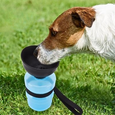 gourde-pour-chien-hydrate