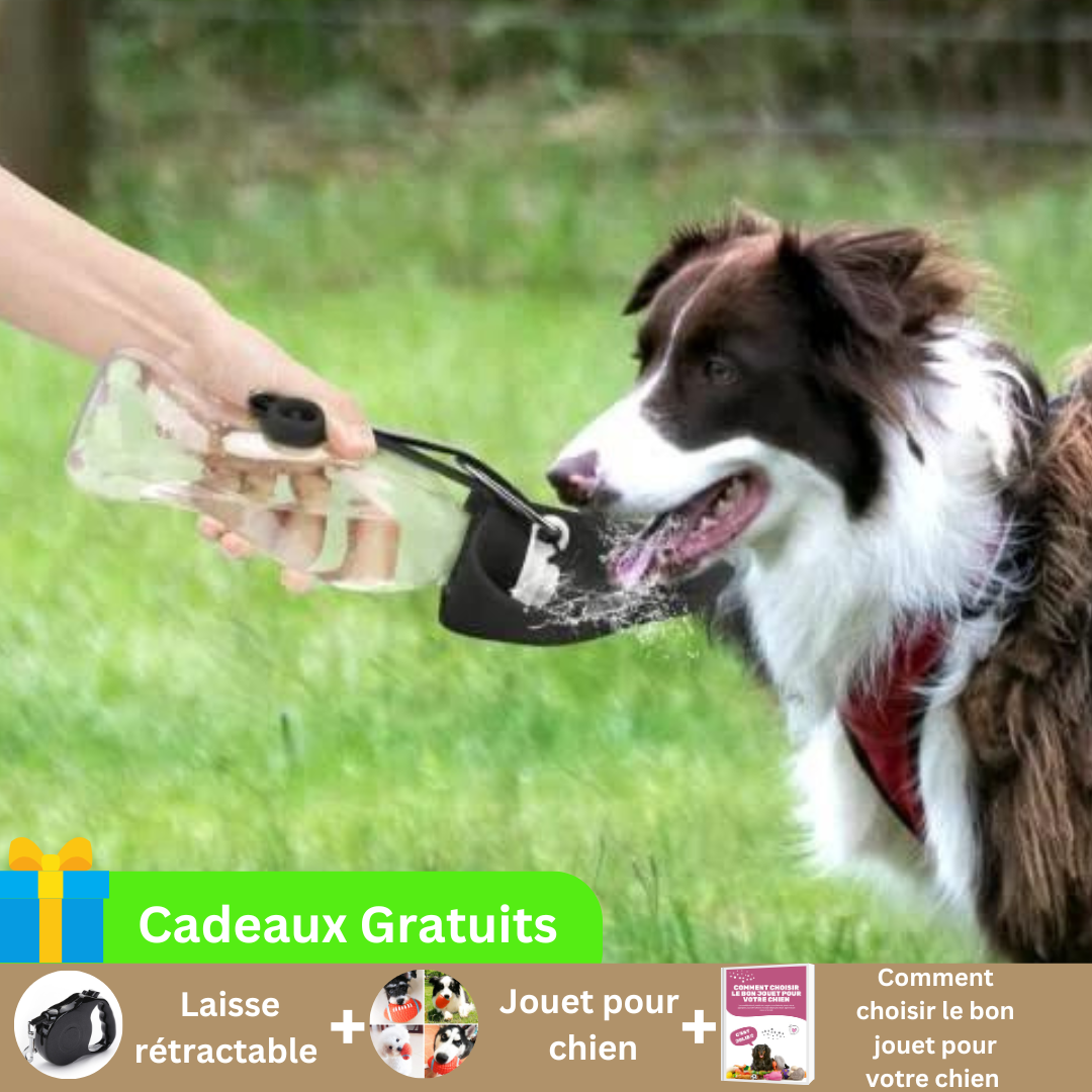 gourde-pour-chien-noir