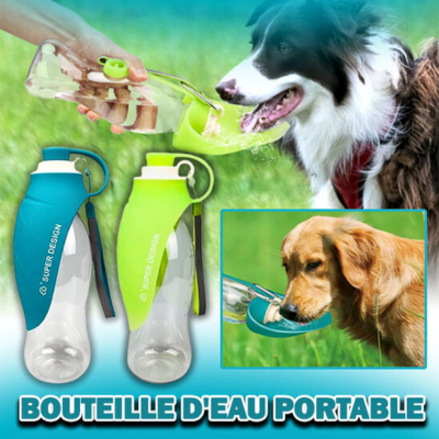 gourde-pour-chien-pratique