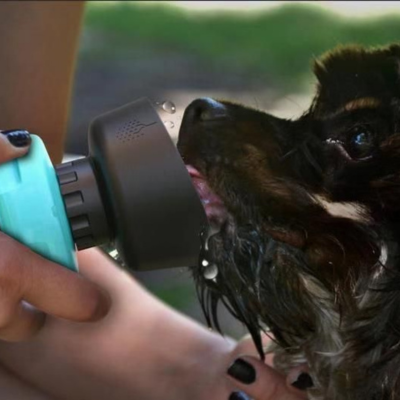 gourde-pour-chien-smalldog-soif