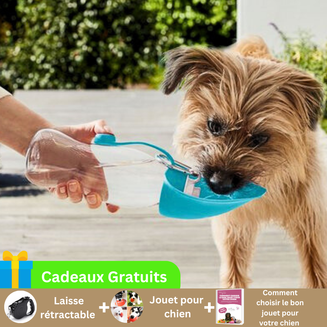 gourde-pour-chien-utile