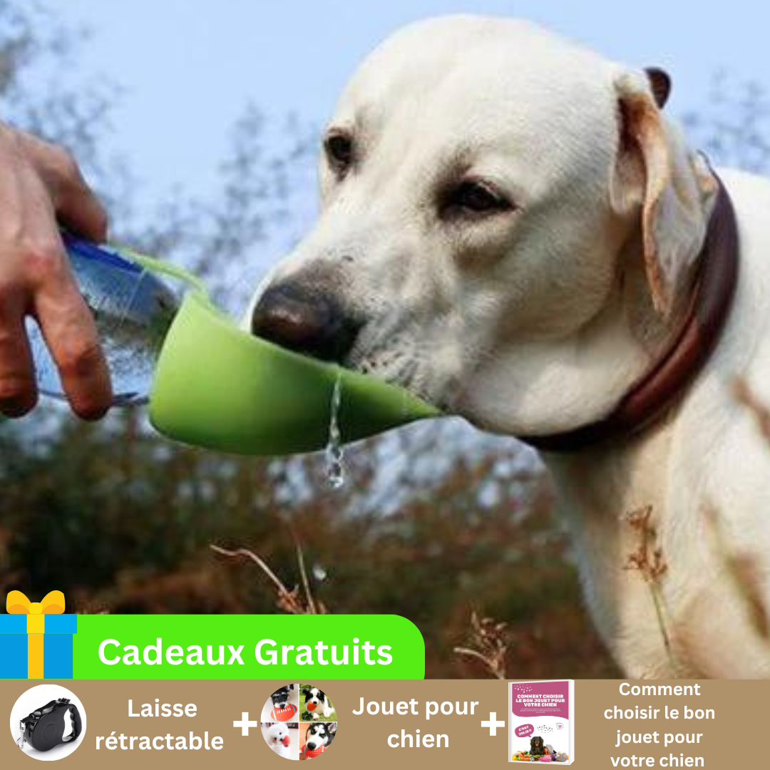 gourde-pour-chien-vert