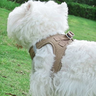 harnais-petit-chien-kaki