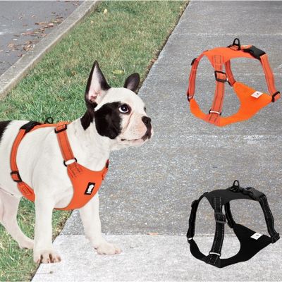 harnais-pour-chien-balade