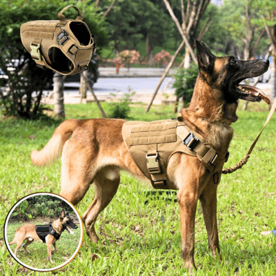 HARNAIS TACTIQUE CHIEN | Miltar™ - Wouf chien