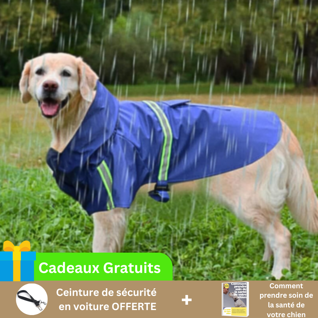 impermeable-pour-chien-bleu