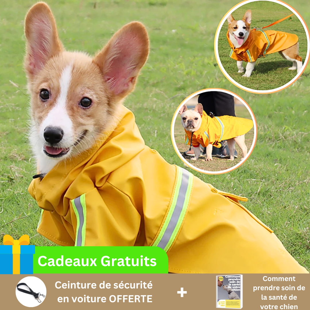 impermeable-pour-chien-cadeau