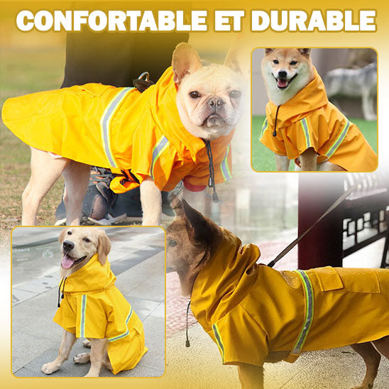 impermeable-pour-chien-durable