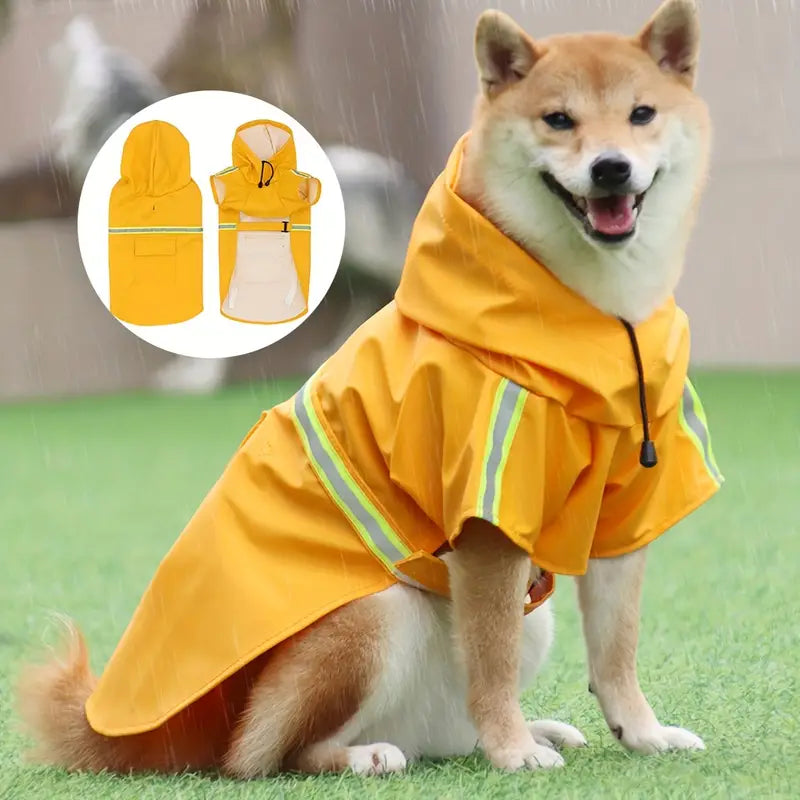 impermeable-pour-chien-pluie