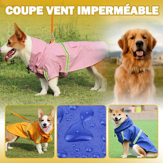 impermeable-pour-chien-vent